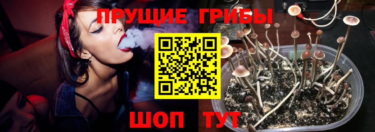 Галлюциногенные грибы мухоморы  Вход с VPN  Псилоцибиновые грибы Psilocybe  закладка  Тосно 
