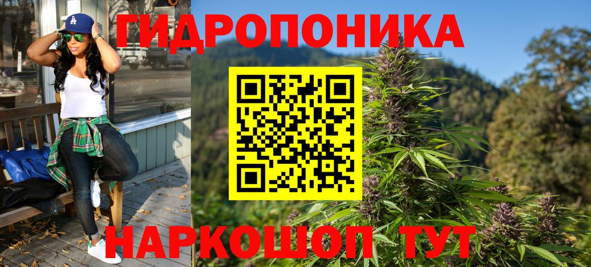 Бошки марихуана MAZAR Тосно